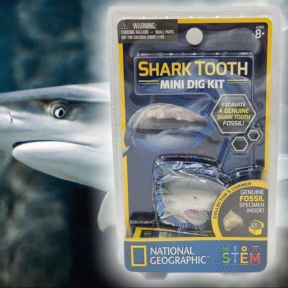 National Geographic 🦈Shark Tooth 🦷 Mini Dig Kit - Picture 1 of 6
